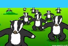 12badger.JPG